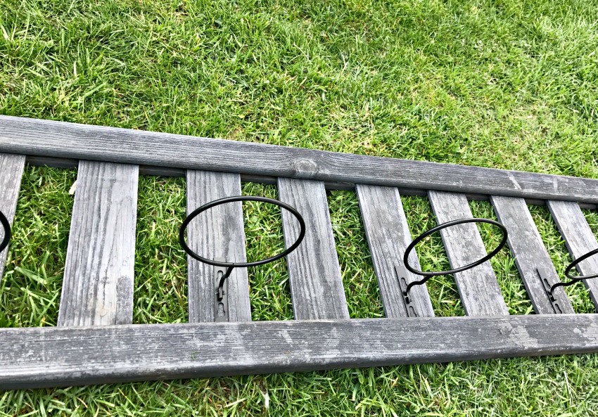 outdoor planter ideas