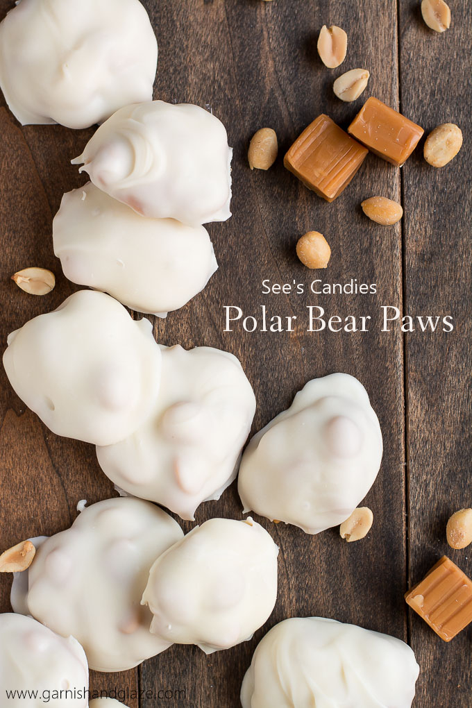 polar bear paws