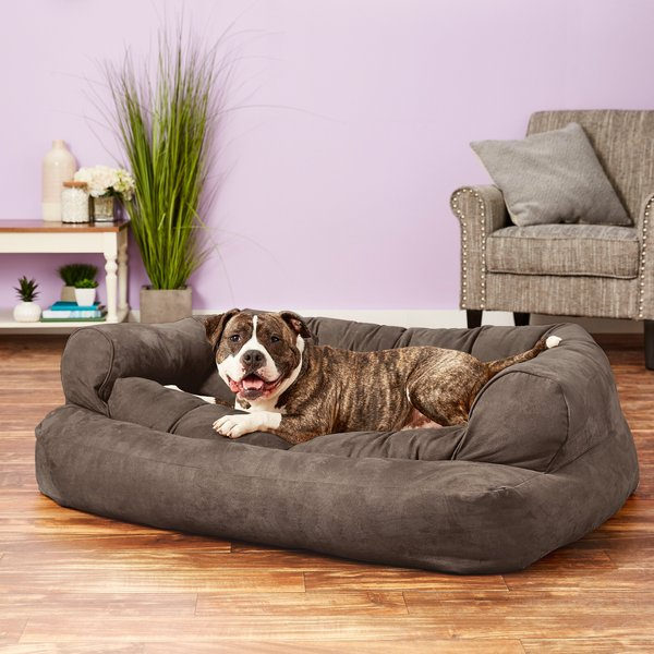 dog bed