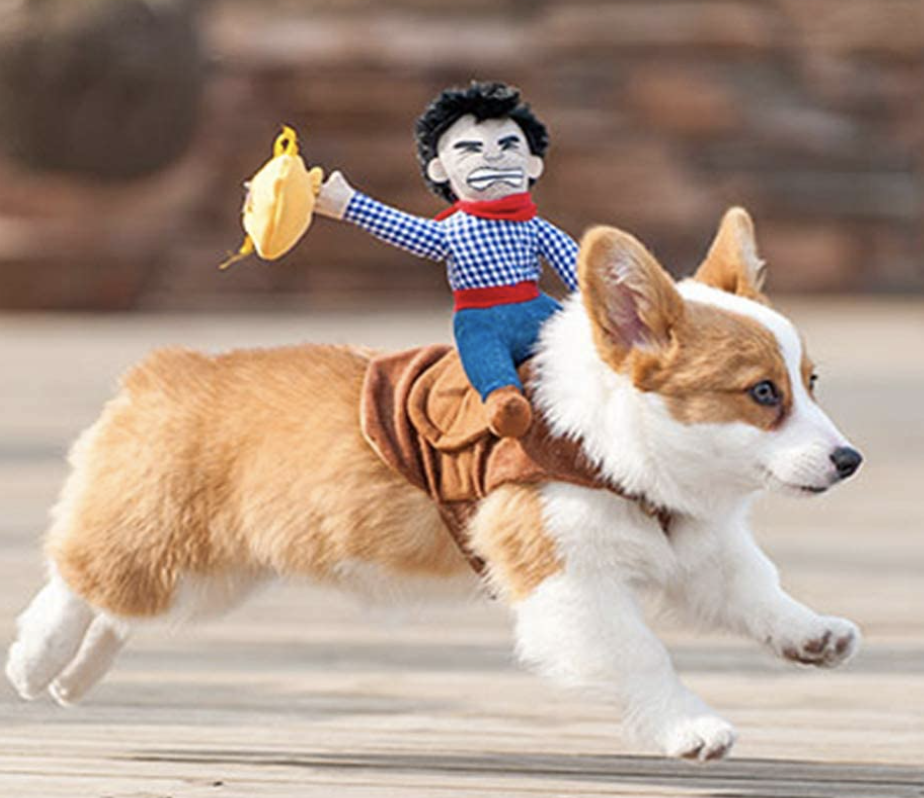 cowboy rider costume