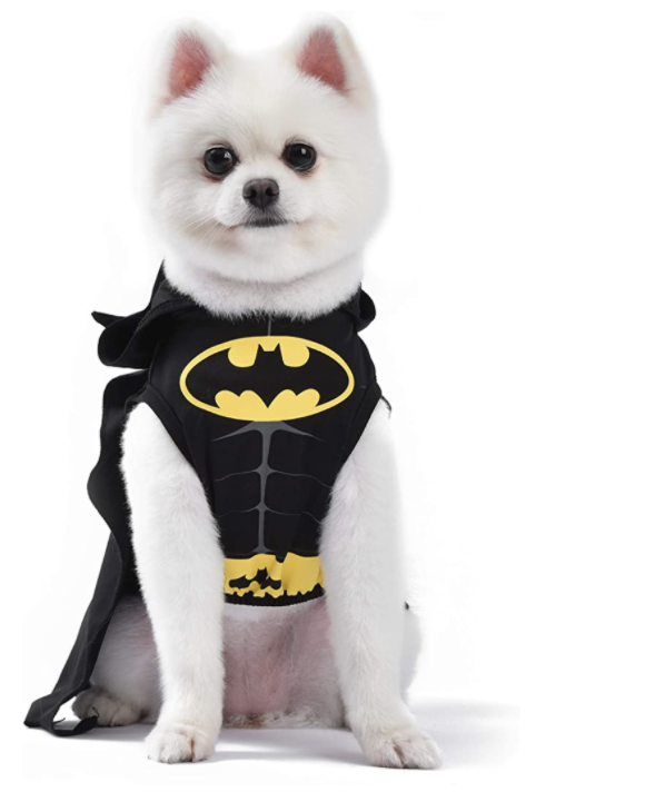 best dog halloween costumes