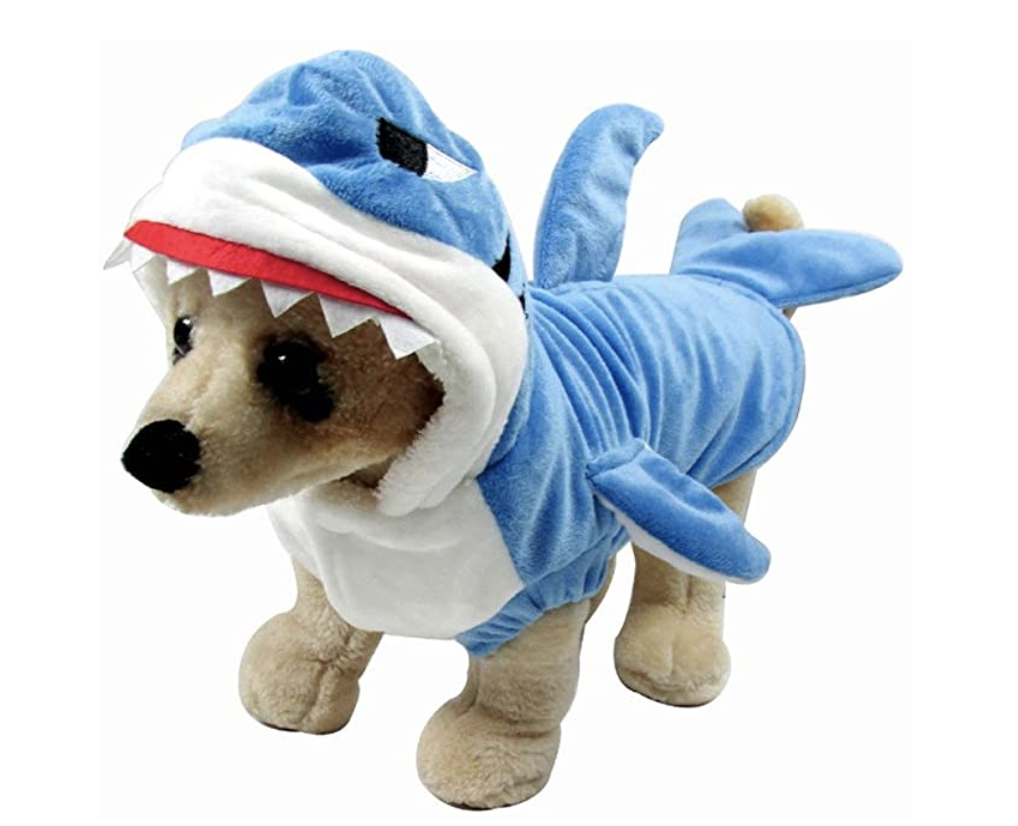 best halloween small dog costumes