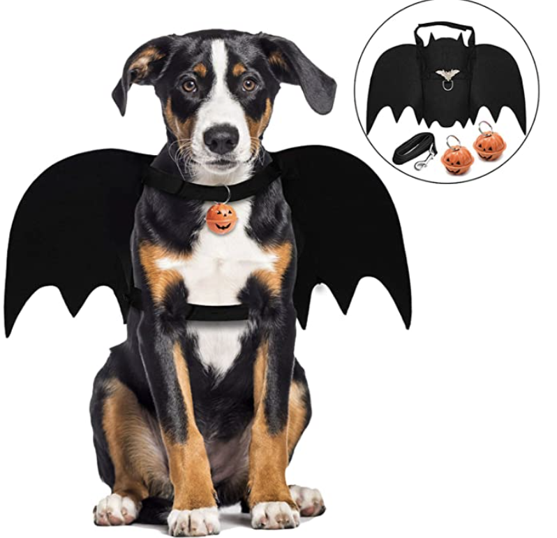 bat halloween costume