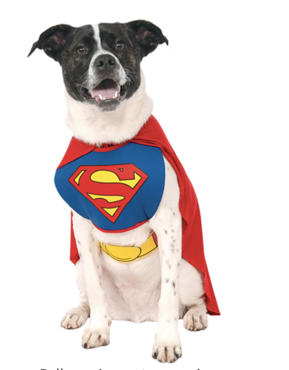 best dog halloween costumes