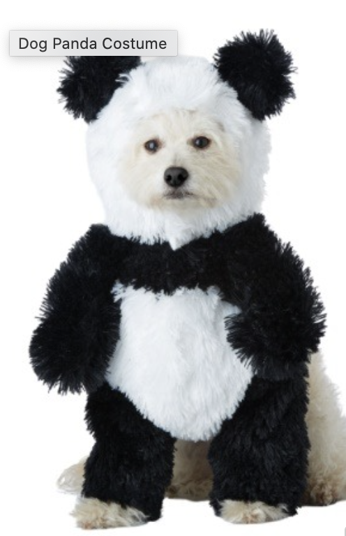 best halloween dog costumes