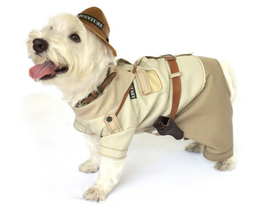 indiana jones dog costume