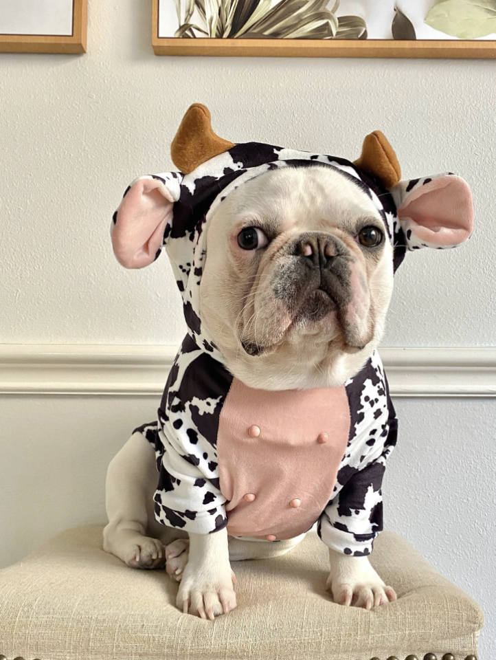 cow costume dog