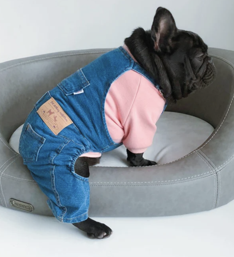 best halloween dog costumes