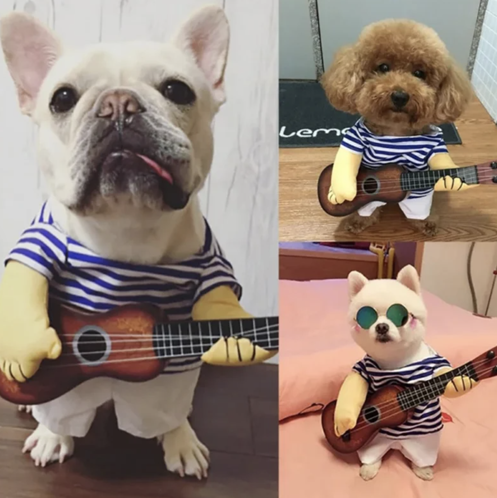 guitarist pet costume