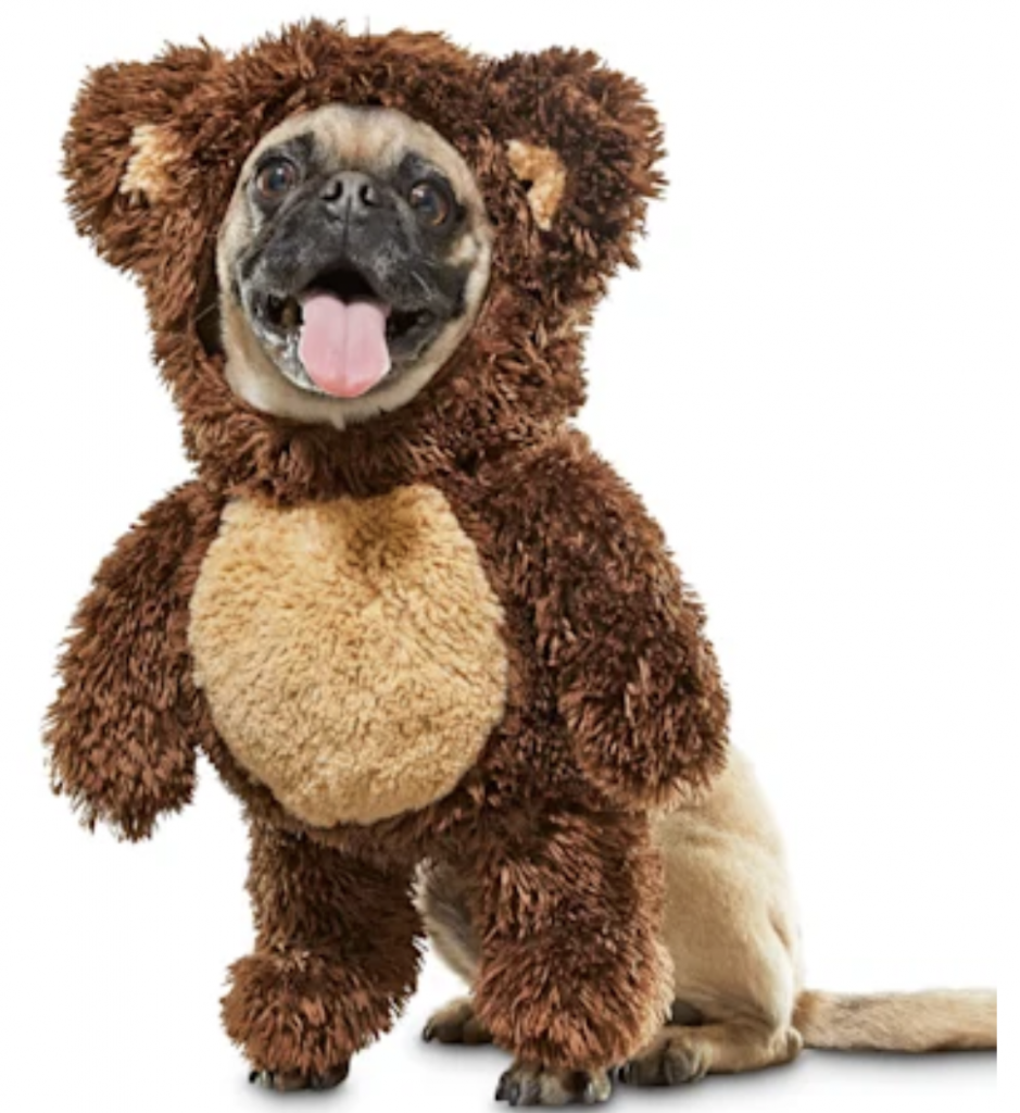 halloween dog costume