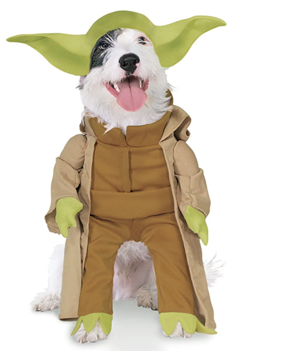 dog yoda costume