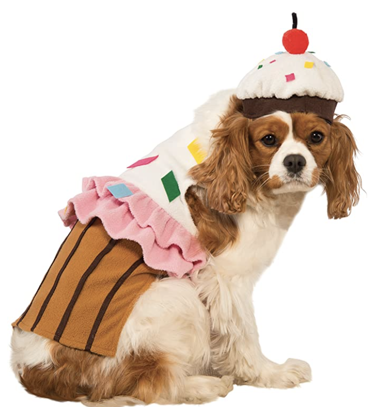 cupcake dog costume