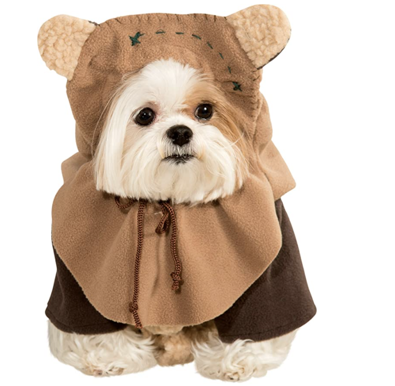 dog costume