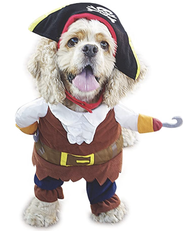 pirate dog halloween costume