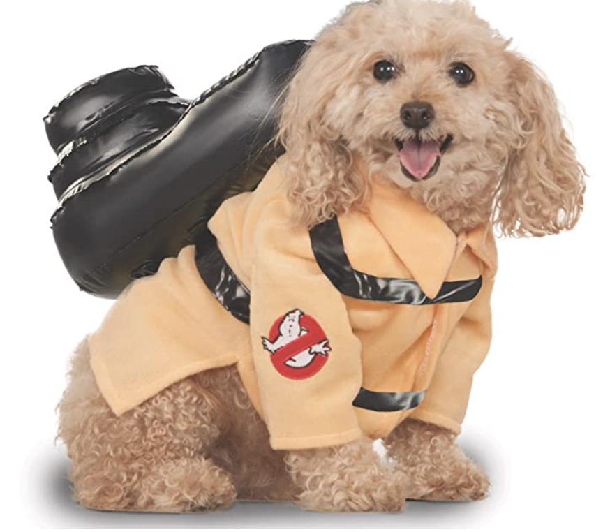 dog halloween costume
